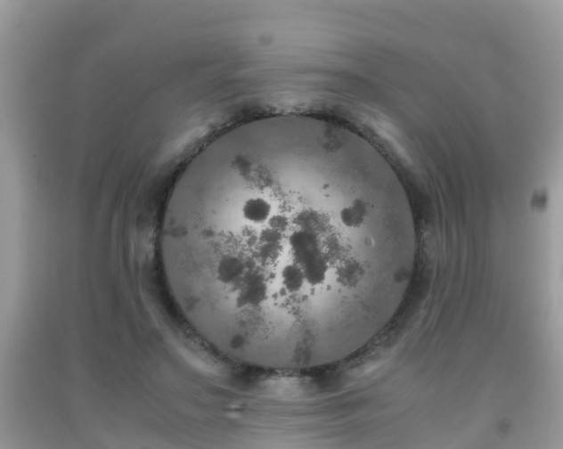 X0000091960499200709061304