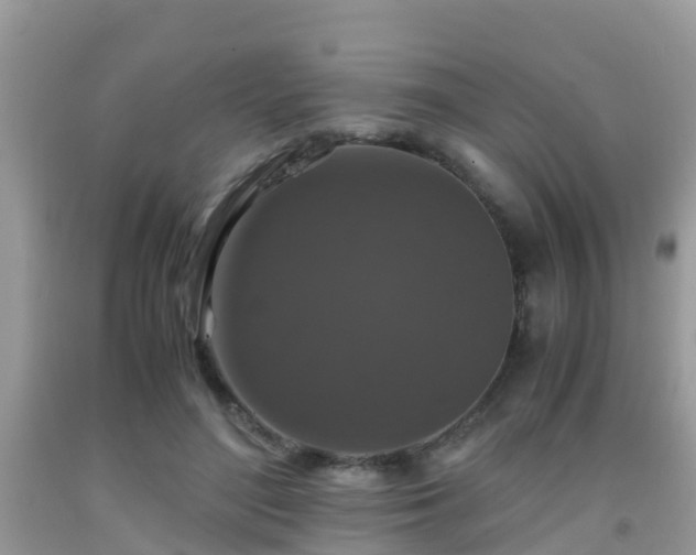 X0000091960500200709061304