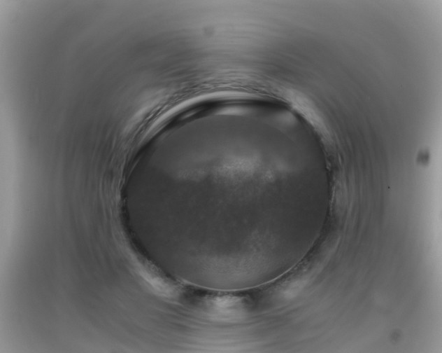 X0000091960501200709061304