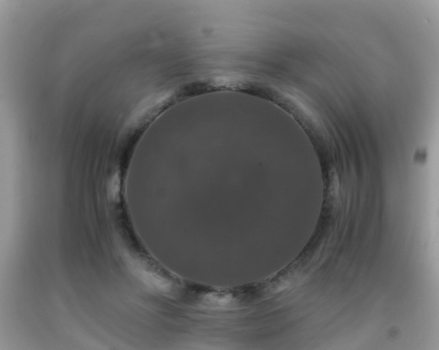 X0000091960502200709061304