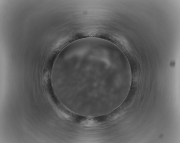 X0000091960503200709061304