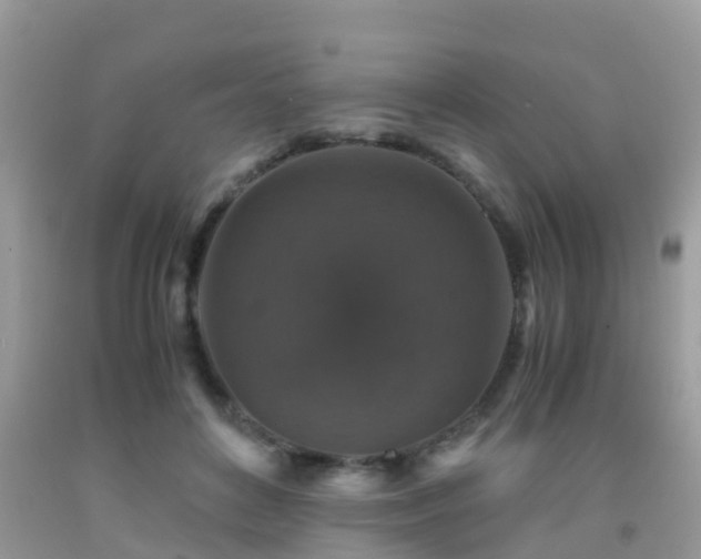 X0000091960504200709061304