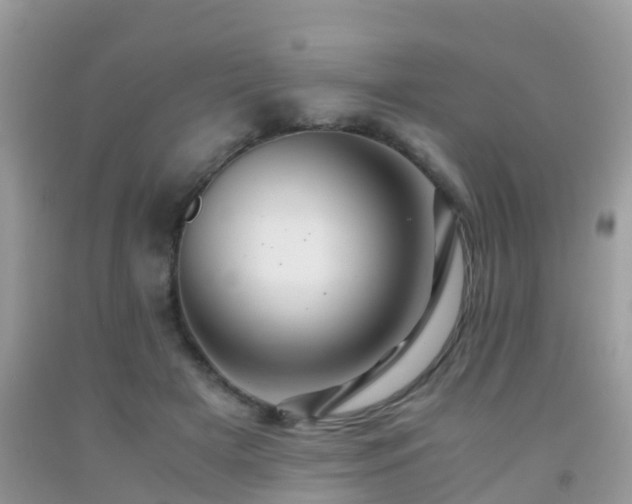 X0000091960505200709061304