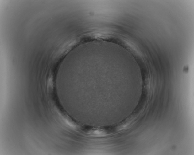 X0000091960506200709061304