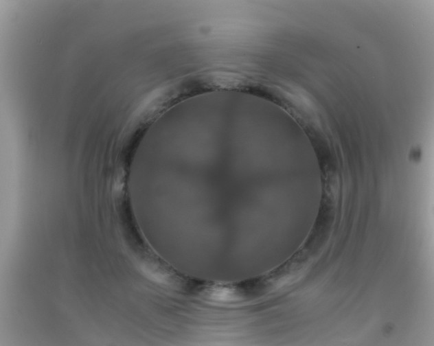 X0000091960507200709061304