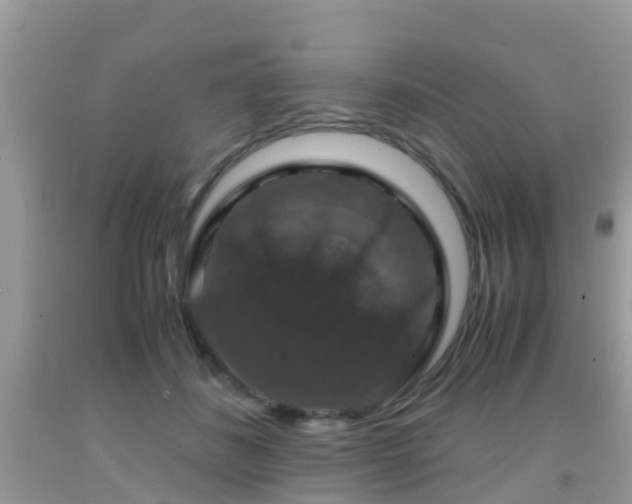 X0000091960508200709061304