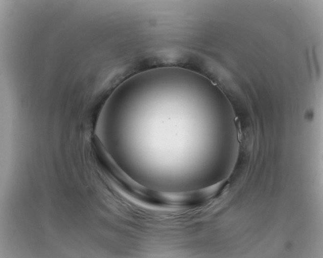 X0000091960509200709061304