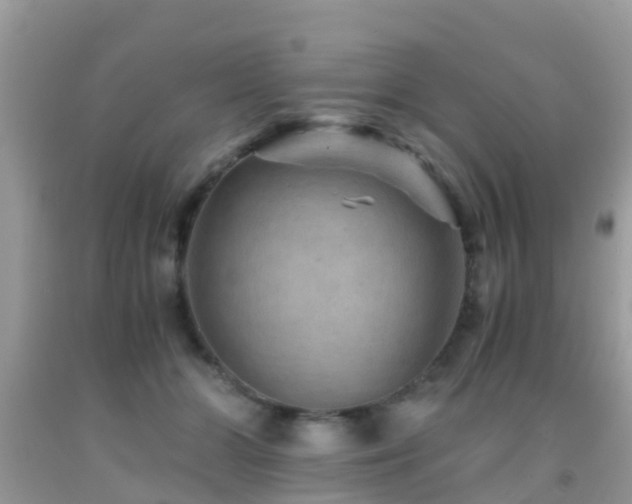 X0000091960510200709061304