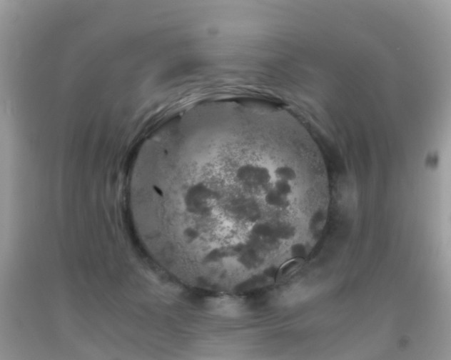 X0000091960511200709061304