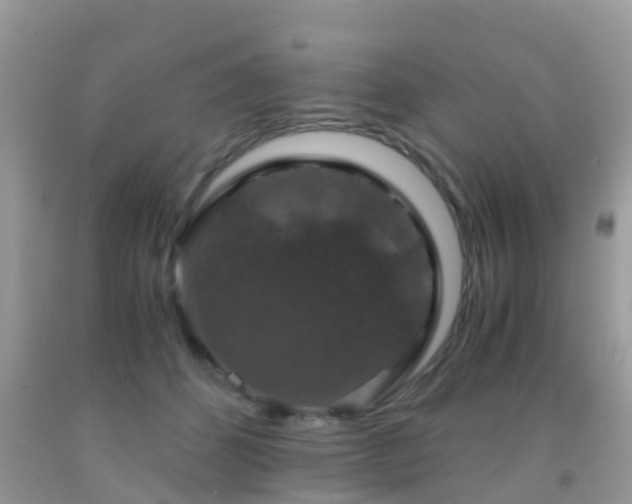 X0000091960512200709061304