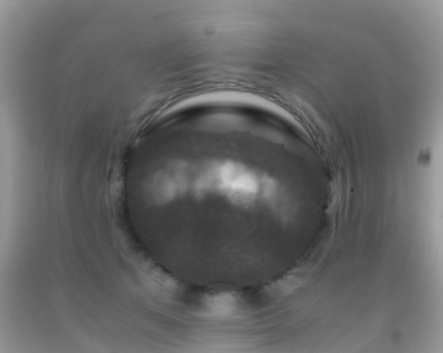 X0000091960513200709061304