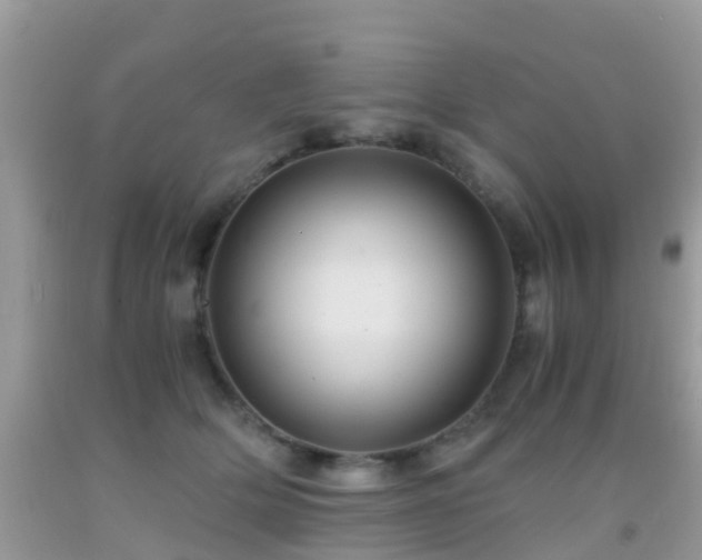 X0000091960514200709061304