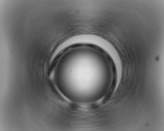 X0000091960516200709061304