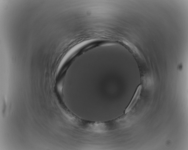 X0000091960517200709061304