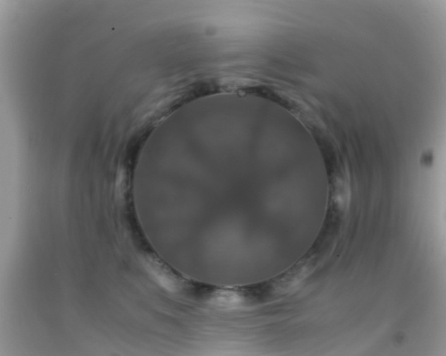 X0000091960519200709061304