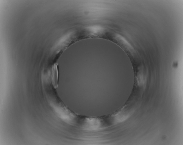 X0000091960520200709061304