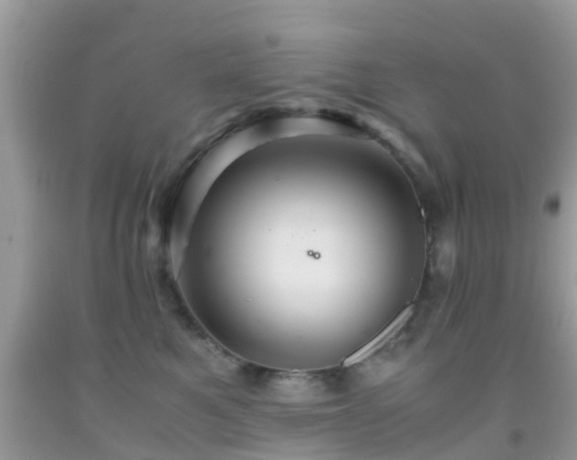 X0000091960521200709061304