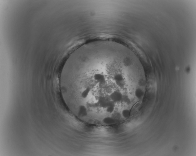 X0000091960523200709061304