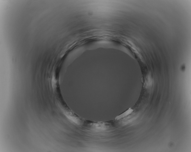 X0000091960524200709061304