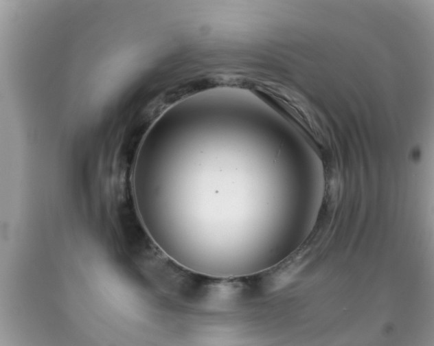 X0000091960525200709061304