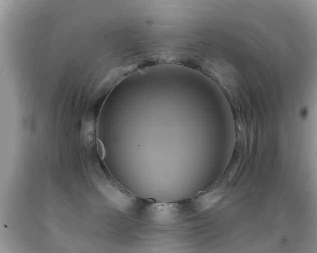 X0000091960526200709061304