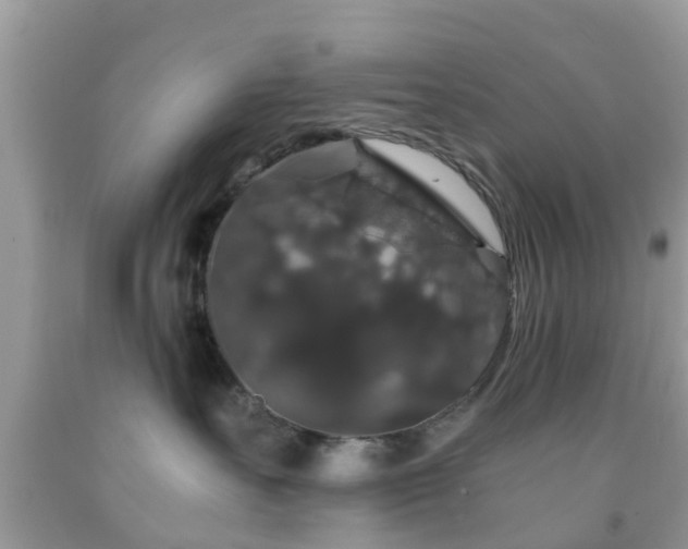 X0000091960527200709061304