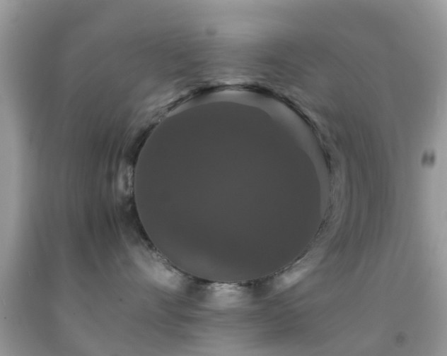 X0000091960528200709061304