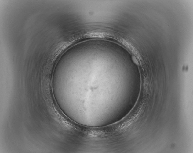 X0000091960529200709061303