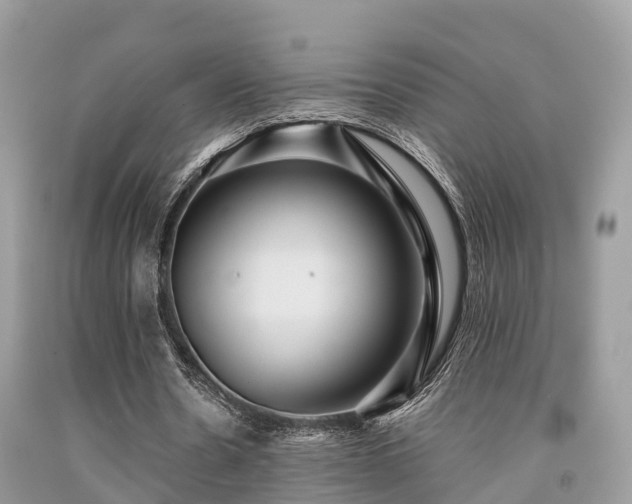 X0000091960530200709061303