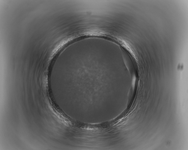 X0000091960531200709061303