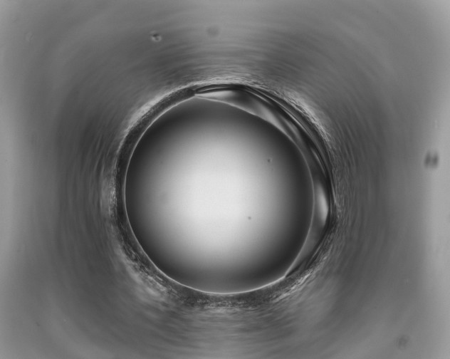 X0000091960532200709061303