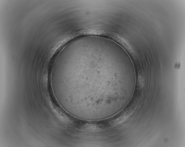 X0000091960534200709061303