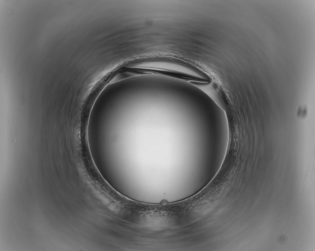 X0000091960535200709061303