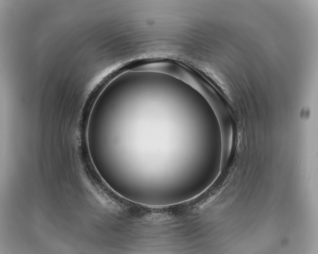 X0000091960536200709061303