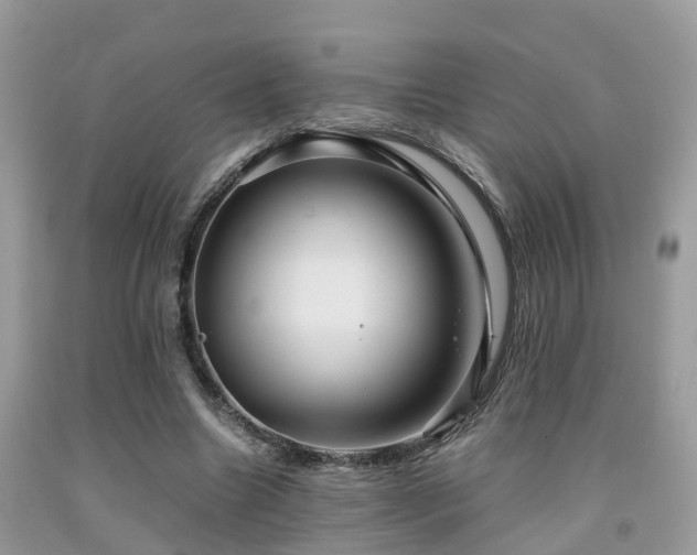 X0000091960538200709061303