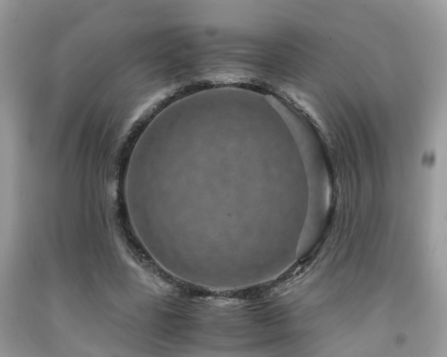 X0000091960539200709061303