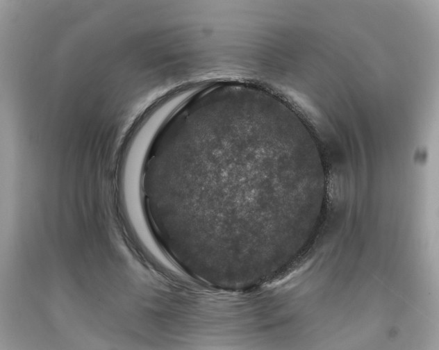 X0000091960540200709061303