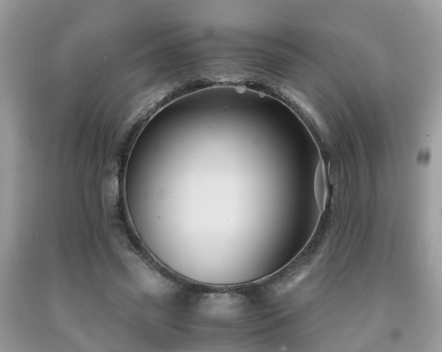 X0000091960541200709061303