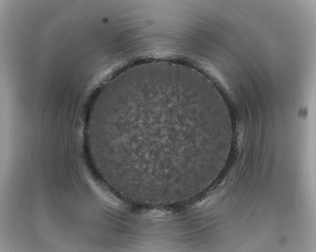 X0000091960542200709061303