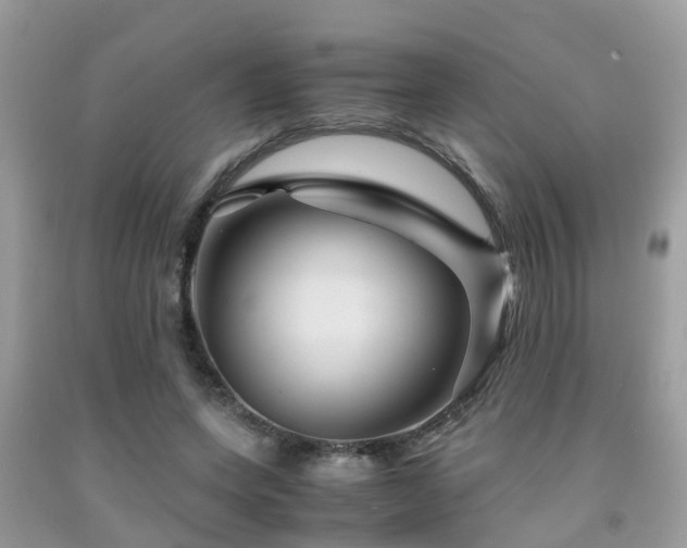 X0000091960543200709061303