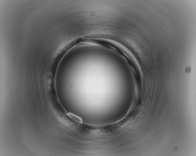 X0000091960544200709061304