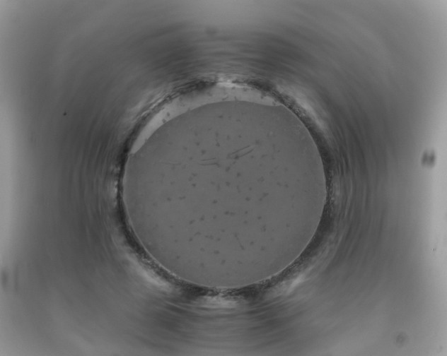 X0000091960545200709061304