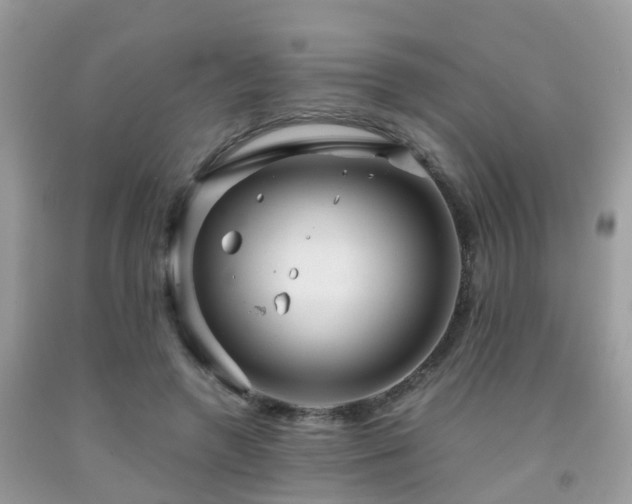 X0000091960546200709061304