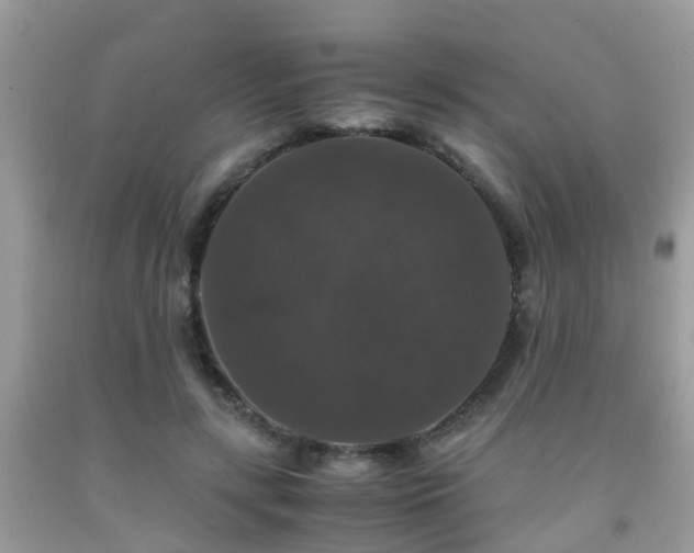 X0000091960547200709061304