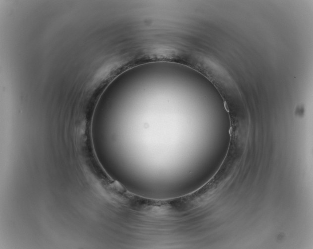 X0000091960548200709061304