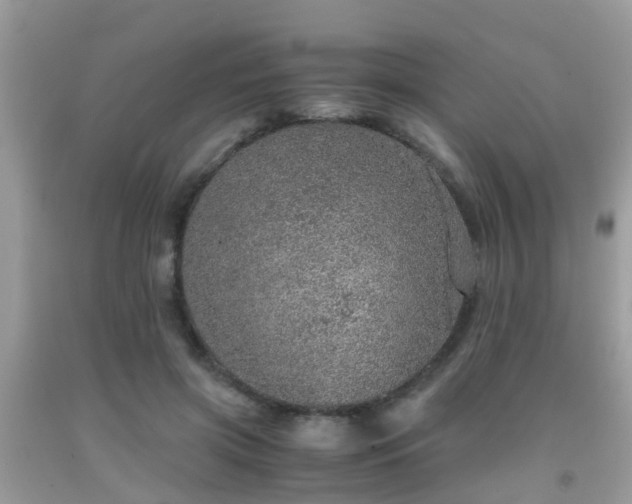 X0000091960549200709061304