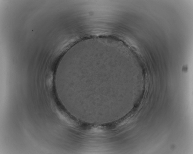 X0000091960550200709061304