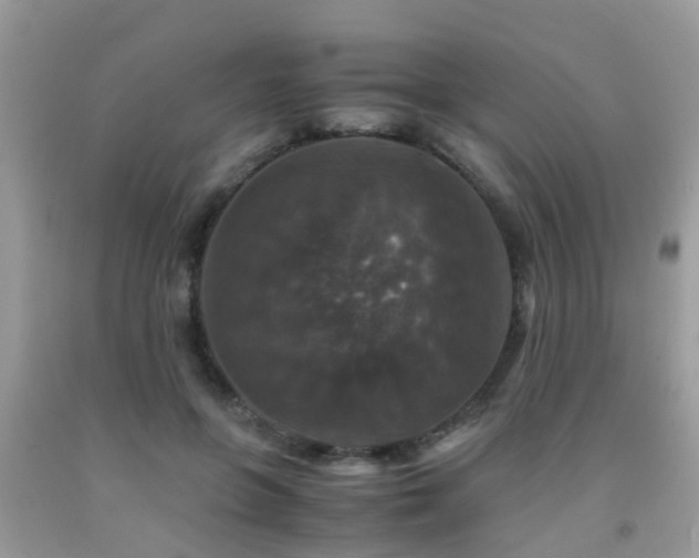 X0000091960551200709061304