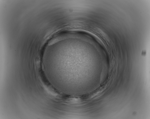 X0000091960552200709061304