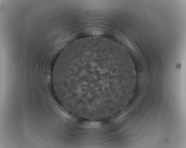 X0000091960553200709061304